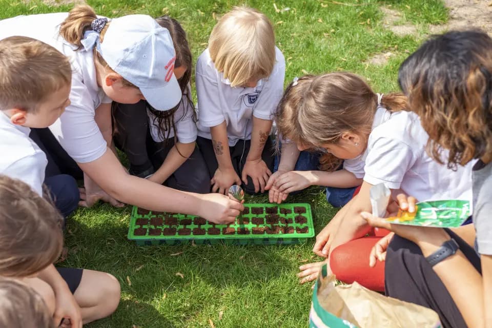Montessori classroom
